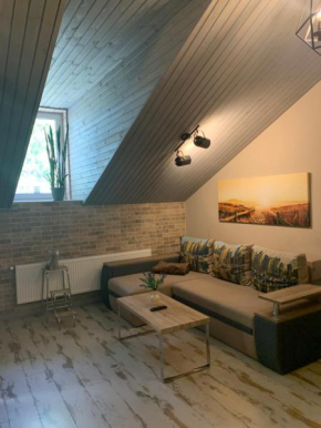 Luxury apartment in the heart